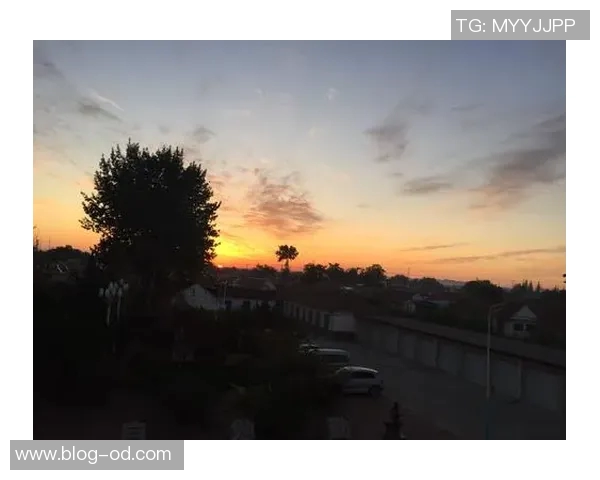 离队公告感谢朴志洙与我们共同走过的岁月祝愿未来更加辉煌