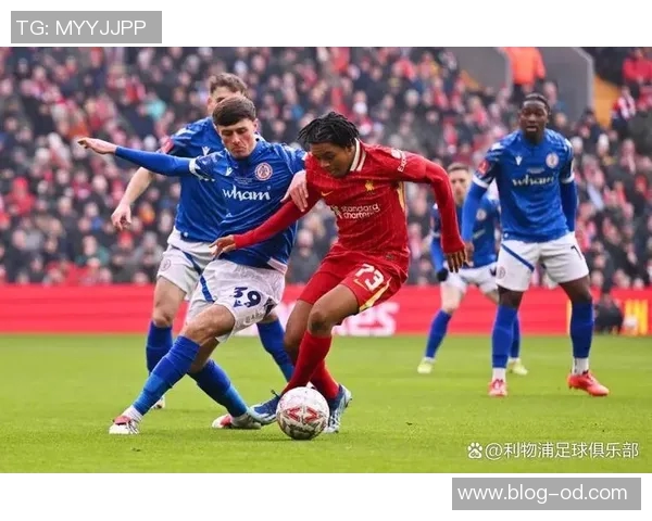 足总杯第4轮精彩对决利物浦迎战布莱顿比赛时间定于2月15日凌晨4点